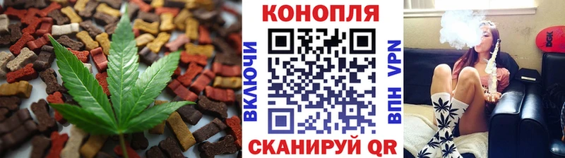 Canna-Cookies конопля  Иннополис 