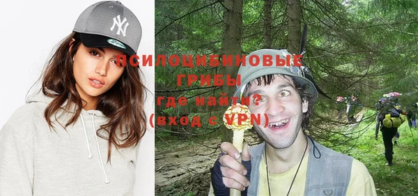 соль ск Абаза