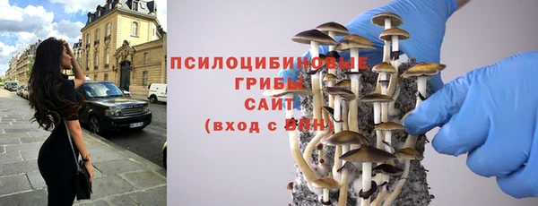 соль ск Абаза